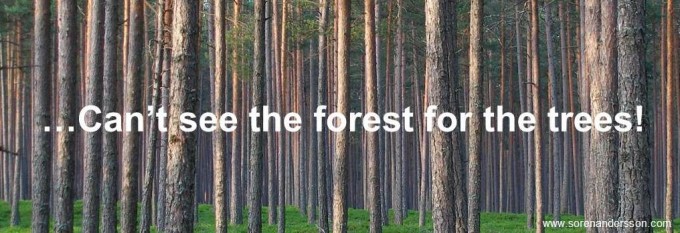 Cant-see-the-forest-for-the-trees-680x233.jpg